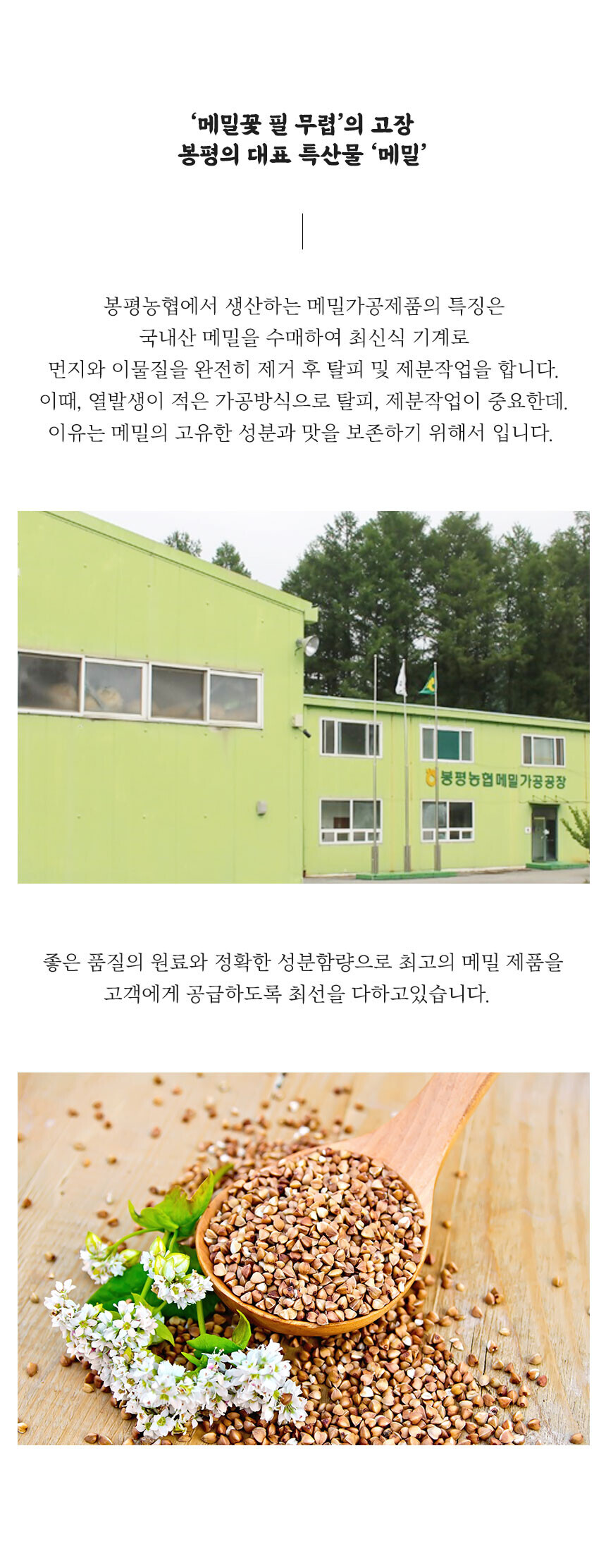 봉평농협 메일가공공장 소개